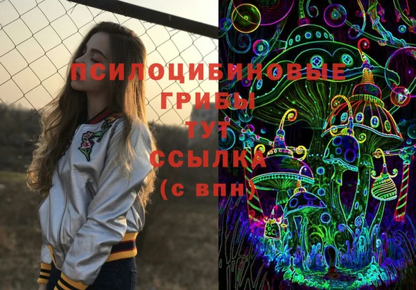 меф Новодвинск
