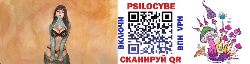 Купить  Морозовск  Псилоцибиновые грибы Psilocybine cubensis 